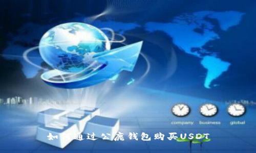 如何通过公鹿钱包购买USDT