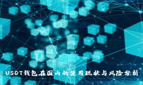 USDT钱包在国内的使用现状与风险分析