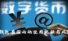 USDT钱包在国内的使用现状与风险分析