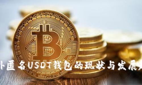 国外匿名USDT钱包的现状与发展趋势