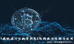 USDT存放在什么数字钱包？选择最佳选择与使用指