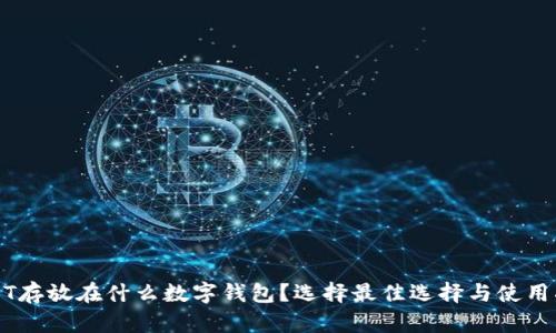 USDT存放在什么数字钱包?选择最佳选择与使用指南