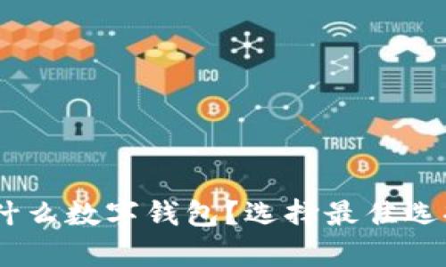 USDT存放在什么数字钱包?选择最佳选择与使用指南