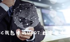 深入了解BSC钱包中的USDT：数字货币的安全与便捷